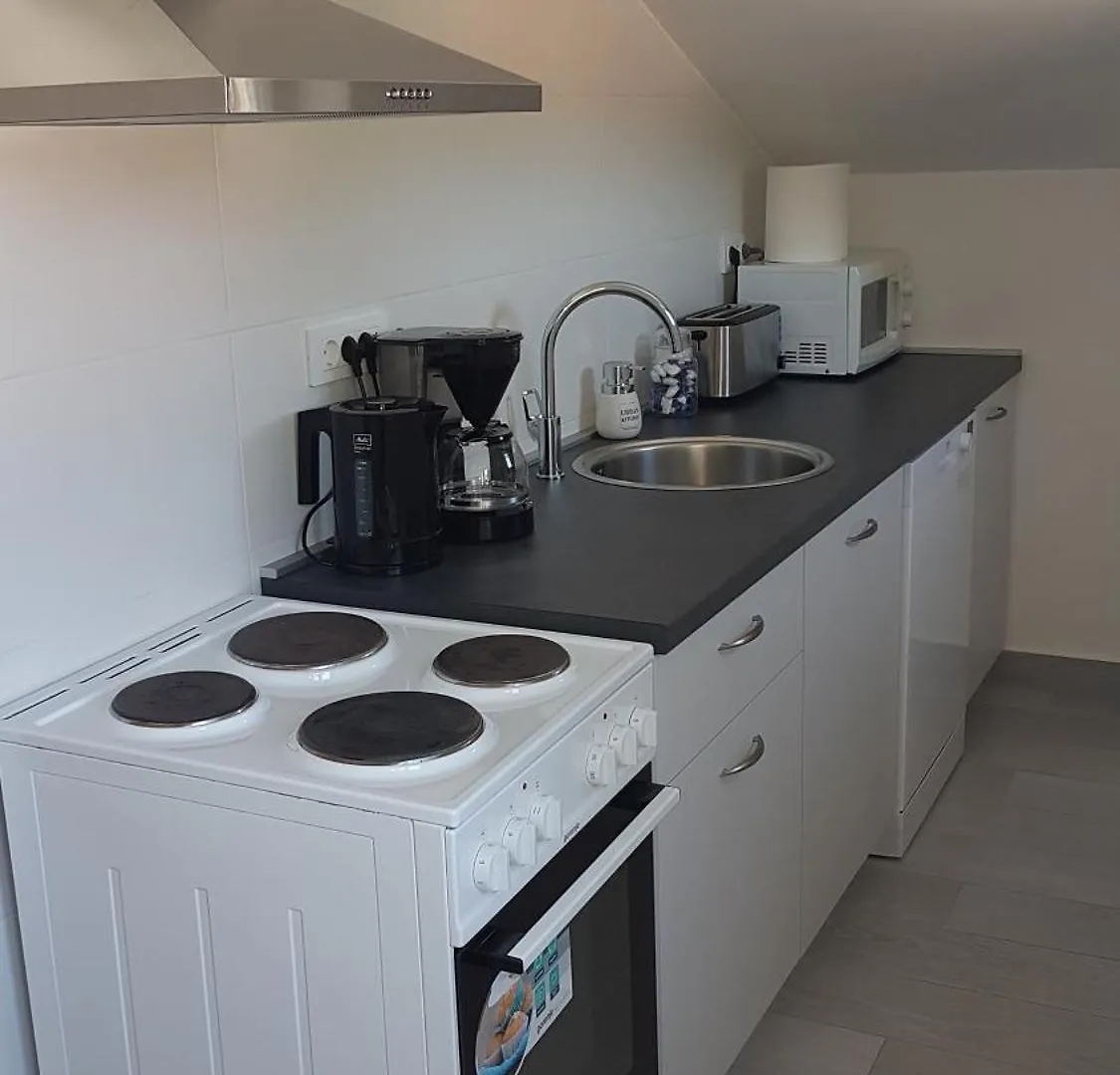 Apartments Ivanica Palit 0*,
